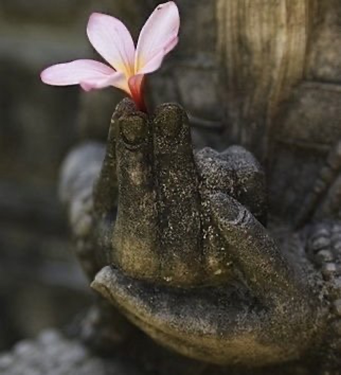 花を持つ石像の手